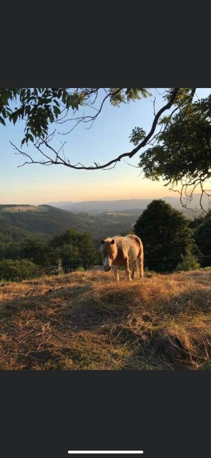 Gite De Montagne Au Pied Du Champ Du Feu Belmont  외부 사진