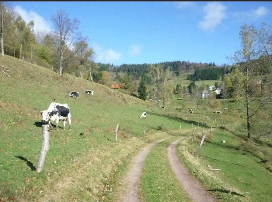 Gite De Montagne Au Pied Du Champ Du Feu Belmont  외부 사진